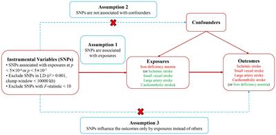 No genetic association between iron deficiency anemia and ischemic stroke and its subtypes: a bidirectional two-sample Mendelian randomization study